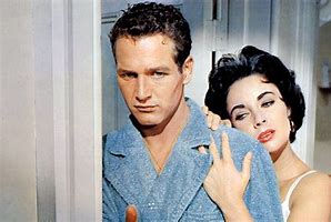 Image result for images cat on a hot tin roof